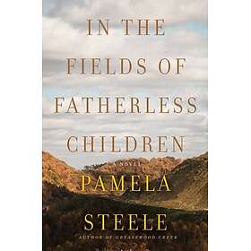 In The Fields of Fatherless Children A Novel