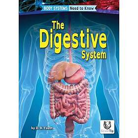 Digestive System