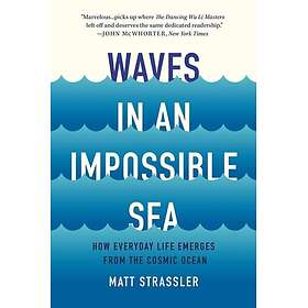 Waves in an Impossible Sea How Everyday Life Emerges from the Cosmic Ocean