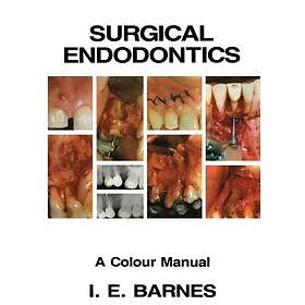 Surgical Endodontics A Colour Manual