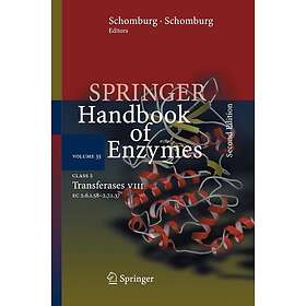 Class 2 Transferases VIII EC 2,6.1,58 2,7.1,37