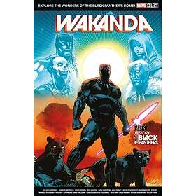 Marvel Select Wakanda