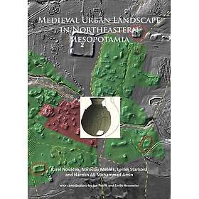 Medieval Urban Landscape in Northeastern Mesopotamia