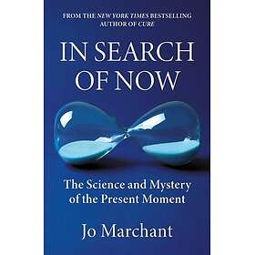 In Search of Now The Science and Mystery of the Present Moment