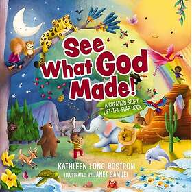 See What God Made! A Creation Story LifttheFlap Book