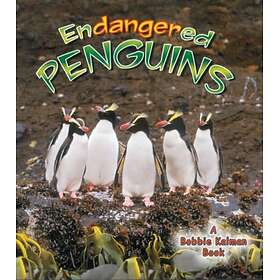 Endangered Penguins