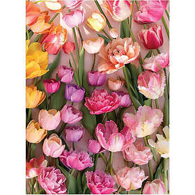 Ephemeral Tulips 1000 Pieces