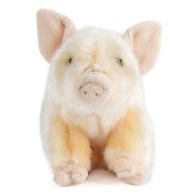 Living Nature Pig 20cm