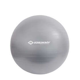 Schildkröt Fitness Gym Ball 85cm
