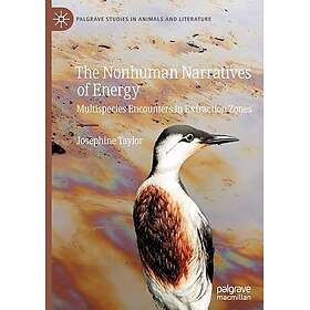 The Nonhuman Narratives of Energy