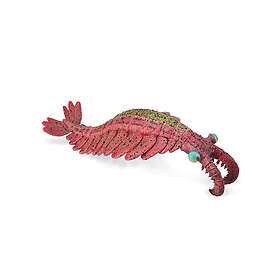 Collecta Anomalocaris