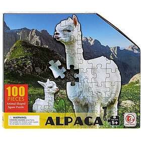 Adar Lama 100 Pieces
