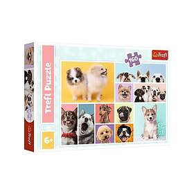 Trefl Eläimet 160 Palaa