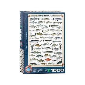 Eurographics Freshwater Fish 1000 Pièces