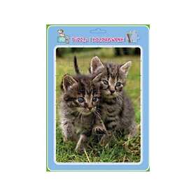 MD Cats Puzzle With Coloring Book