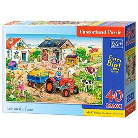 Castorland Farm Friends 40 Palaa