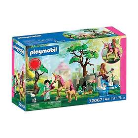 Playmobil Fairies' Day Trip