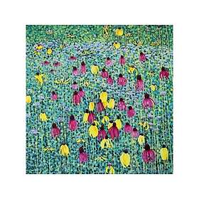 Susan Prairie Flowers Card with Envelope