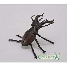 Collecta Stag Beetle