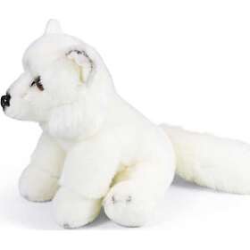 Dante Arctic Fox (ONE-613306)