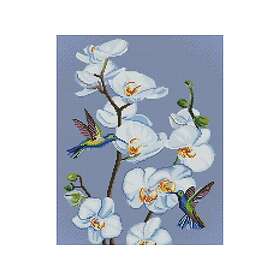 Ideyka Diamond Mosaic Flowering Orchids 40X50cm
