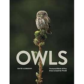 Owls Alderton, David
