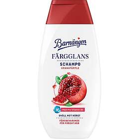 Barnängen Färgglans Värinsuojashampoo 250ml