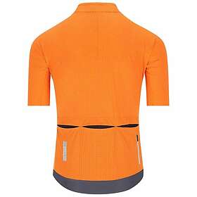 Q36.5 Dottore Pro Jersey à Manches Courtes (Homme)