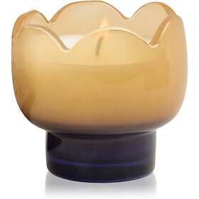 Paddywax Tulip Garden & Grove Doftljus 155g