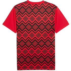 Puma Egypt 24/25 Pre Match Short Sleeve T-shirt (Men's)