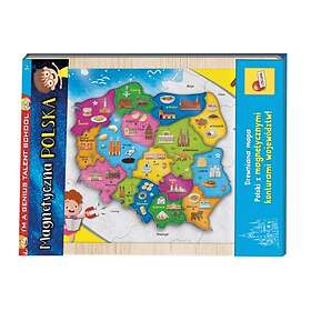 Lisciani Group I'm A Genius Talent School Magnetisk Polen Lärande Flash Cards 304-PL105496