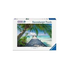 Ravensburger Landscape 4000 Pieces