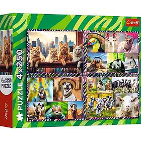 Trefl Funny Animals 4x250 Pieces