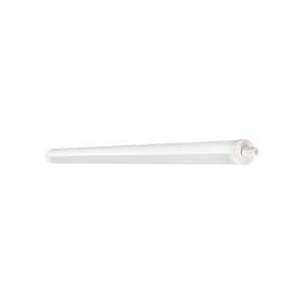 Ledvance 4058075452176 Damp Proof Special 1500 E14 6500K 6500Lm 50W