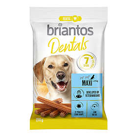 Briantos Dental Snacks Dental Chews Maxi 7-Pack