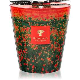 Baobab Collection Arty Flowers Poppies Doftljus 1000g
