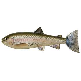 PulzBait Starter Kit Trout Rainbow Trout 20cm