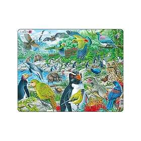 Larsen Wildlife in New Zealand 53 Pieces
