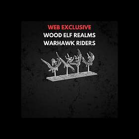 Warhammer Wood Elf Realms Warhawk Riders