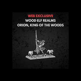 Warhammer Wood Elf Realms Orion King of the Woods