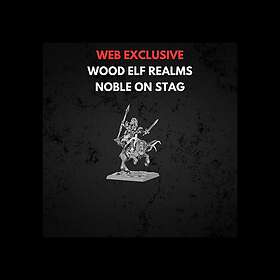 Warhammer Wood Elf Realms Noble on Great Stag (N/A)