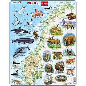 Platepusle Norgeskart Dyreart 62 Pieces