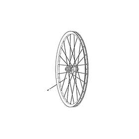 Sapim CX Ray Straightpull 210mm 3-pack