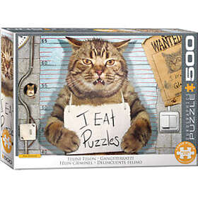Eurographics Felony Cat 500 Palaa