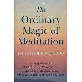 The Ordinary Magic of Meditation