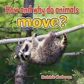 How and Why Do Animals Move