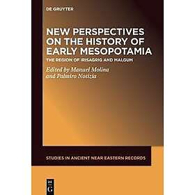 New Perspectives on the History of Early Mesopotamia