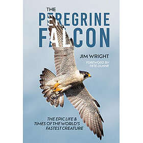 The Peregrine Falcon