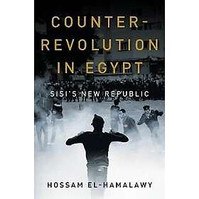 Counterrevolution in Egypt