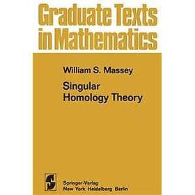 Singular Homology Theory
